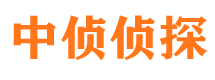 叶县寻人公司